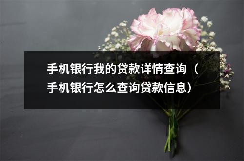 手机银行我的贷款详情查询（手机银行怎么查询贷款信息）
