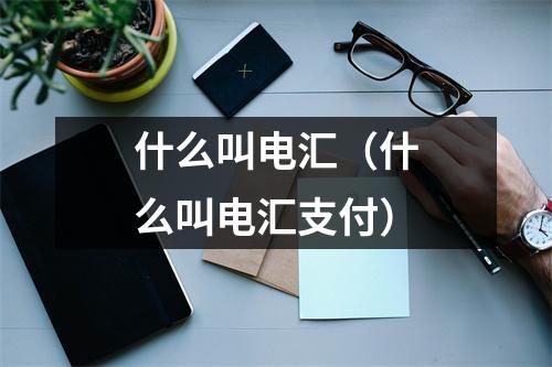 什么叫电汇（什么叫电汇支付）