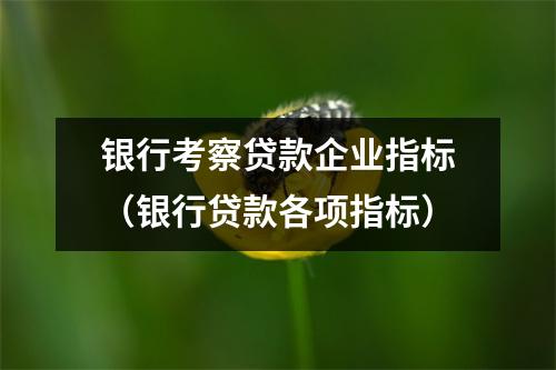 银行考察贷款企业指标（银行贷款各项指标）