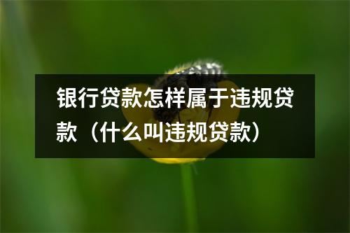 银行贷款怎样属于违规贷款（什么叫违规贷款）