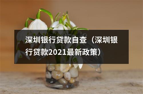 深圳银行贷款自查（深圳银行贷款2021最新政策）