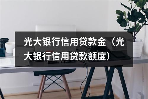 光大银行信用贷款金（光大银行信用贷款额度）