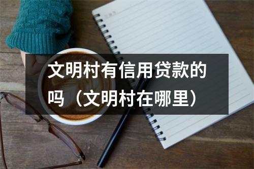 文明村有信用贷款的吗（文明村在哪里）