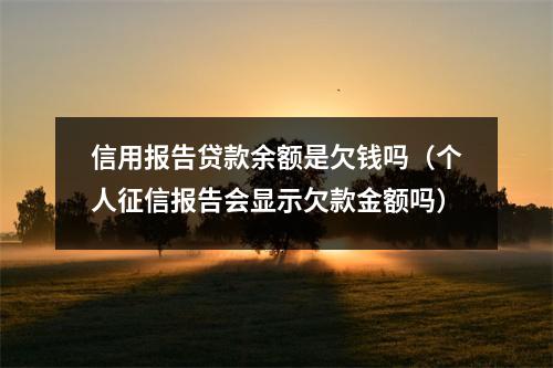 信用报告贷款余额是欠钱吗（个人征信报告会显示欠款金额吗）