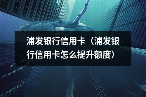 浦发银行信用卡（浦发银行信用卡怎么提升额度）