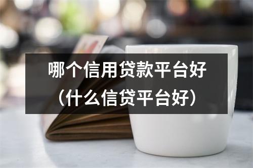 哪个信用贷款平台好（什么信贷平台好）
