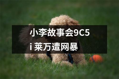 小李故事会9C5i 莱万遭网暴