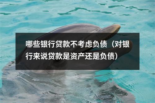 哪些银行贷款不考虑负债（对银行来说贷款是资产还是负债）