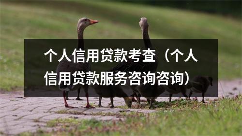 个人信用贷款考查（个人信用贷款服务咨询咨询）