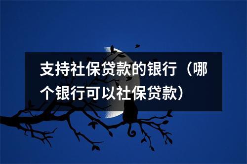 支持社保贷款的银行（哪个银行可以社保贷款）