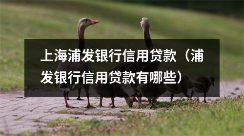 上海浦发银行信用贷款（浦发银行信用贷款有哪些）