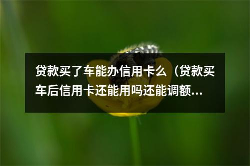 贷款买了车能办信用卡么（贷款买车后信用卡还能用吗还能调额度吗）