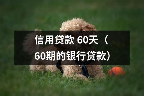 信用贷款 60天（60期的银行贷款）