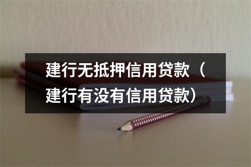 建行无抵押信用贷款(建行有没有信用贷款)
