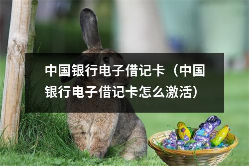中国银行电子借记卡（中国银行电子借记卡怎么激活）