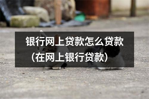 银行网上贷款怎么贷款（在网上银行贷款）