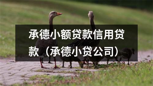 承德小额贷款信用贷款（承德小贷公司）