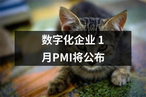 数字化企业 1月PMI将公布