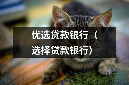 优选贷款银行（选择贷款银行）