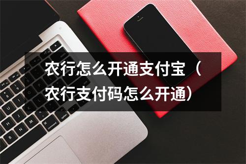 农行怎么开通支付宝(农行支付码怎么开通)