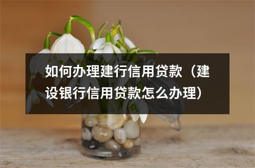 如何办理建行信用贷款（建设银行信用贷款怎么办理）