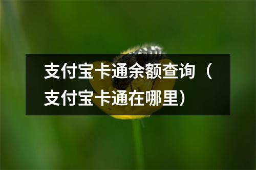 支付宝卡通余额查询（支付宝卡通在哪里）