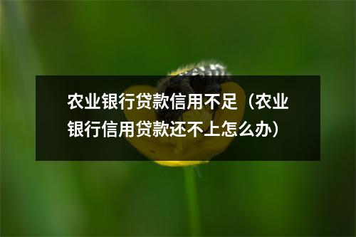 农业银行贷款信用不足（农业银行信用贷款还不上怎么办）