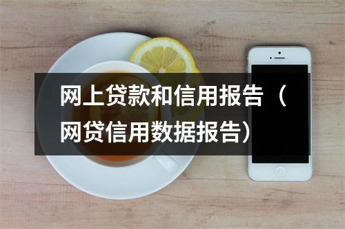 网上贷款和信用报告（网贷信用数据报告）