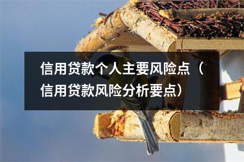 信用贷款个人主要风险点（信用贷款风险分析要点）