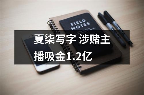 夏柒写字 涉赌主播吸金1.2亿