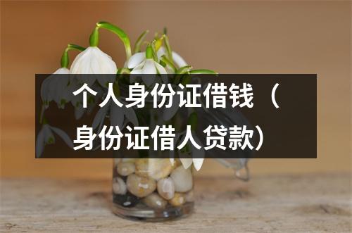 个人身份证借钱（身份证借人贷款）