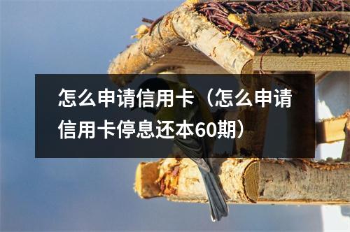 怎么申请信用卡（怎么申请信用卡停息还本60期）
