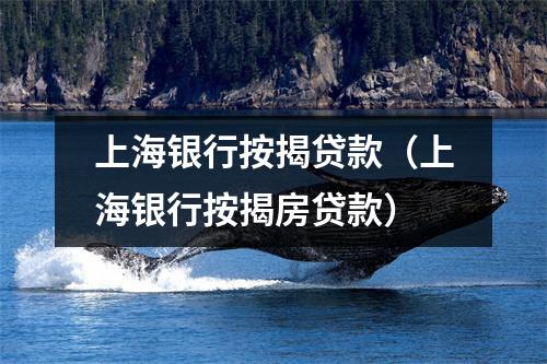 上海银行按揭贷款（上海银行按揭房贷款）