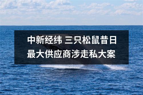 中新经纬 三只松鼠昔日最大供应商涉走私大案