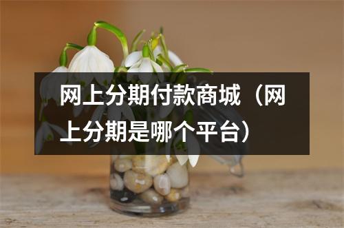 网上分期付款商城(网上分期是哪个平台)