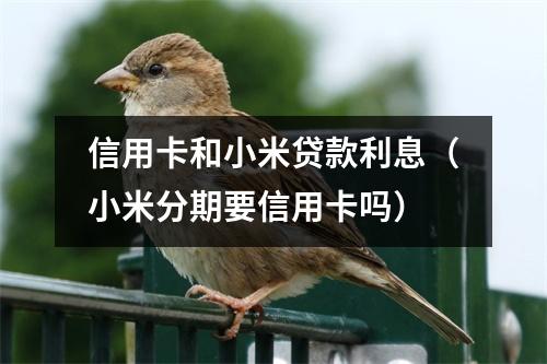 信用卡和小米贷款利息（小米分期要信用卡吗）