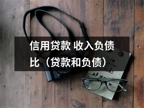 信用贷款 收入负债比(贷款和负债)