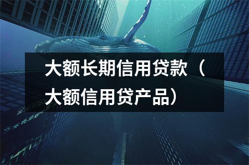大额长期信用贷款（大额信用贷产品）