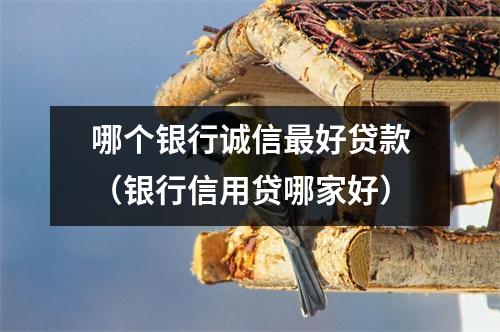 哪个银行诚信最好贷款（银行信用贷哪家好）