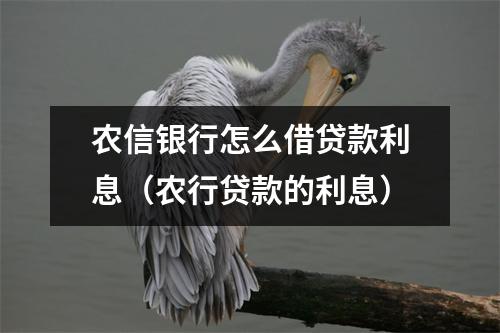 农信银行怎么借贷款利息（农行贷款的利息）