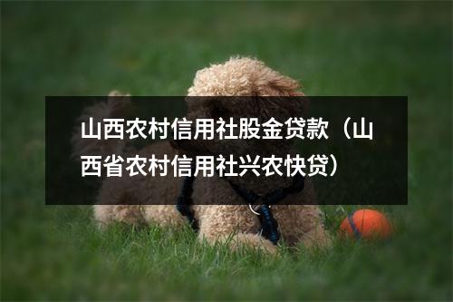 山西农村信用社股金贷款（山西省农村信用社兴农快贷）