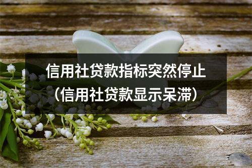 信用社贷款指标突然停止（信用社贷款显示呆滞）