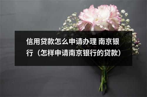 信用贷款怎么申请办理 南京银行（怎样申请南京银行的贷款）