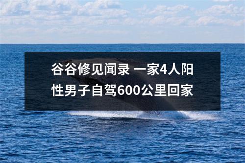 谷谷修见闻录 一家4人阳性男子自驾600公里回家
