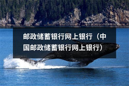 邮政储蓄银行网上银行（中国邮政储蓄银行网上银行）