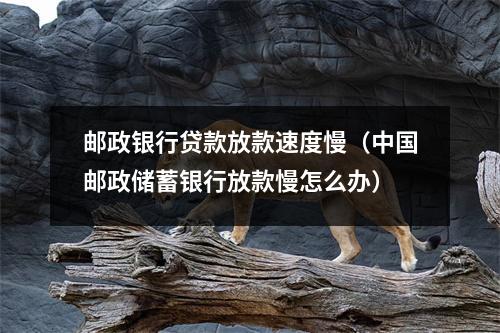 邮政银行贷款放款速度慢（中国邮政储蓄银行放款慢怎么办）