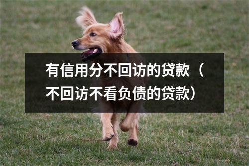 有信用分不回访的贷款（不回访不看负债的贷款）
