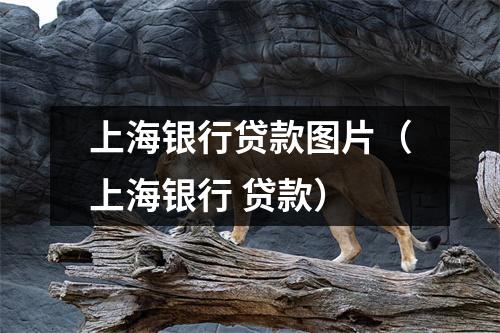 上海银行贷款图片（上海银行 贷款）