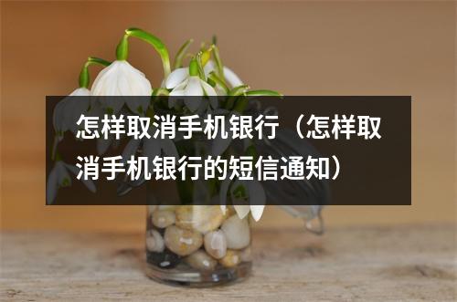 怎样取消手机银行（怎样取消手机银行的短信通知）
