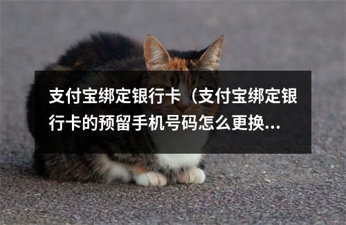 支付宝绑定银行卡（支付宝绑定银行卡的预留手机号码怎么更换）